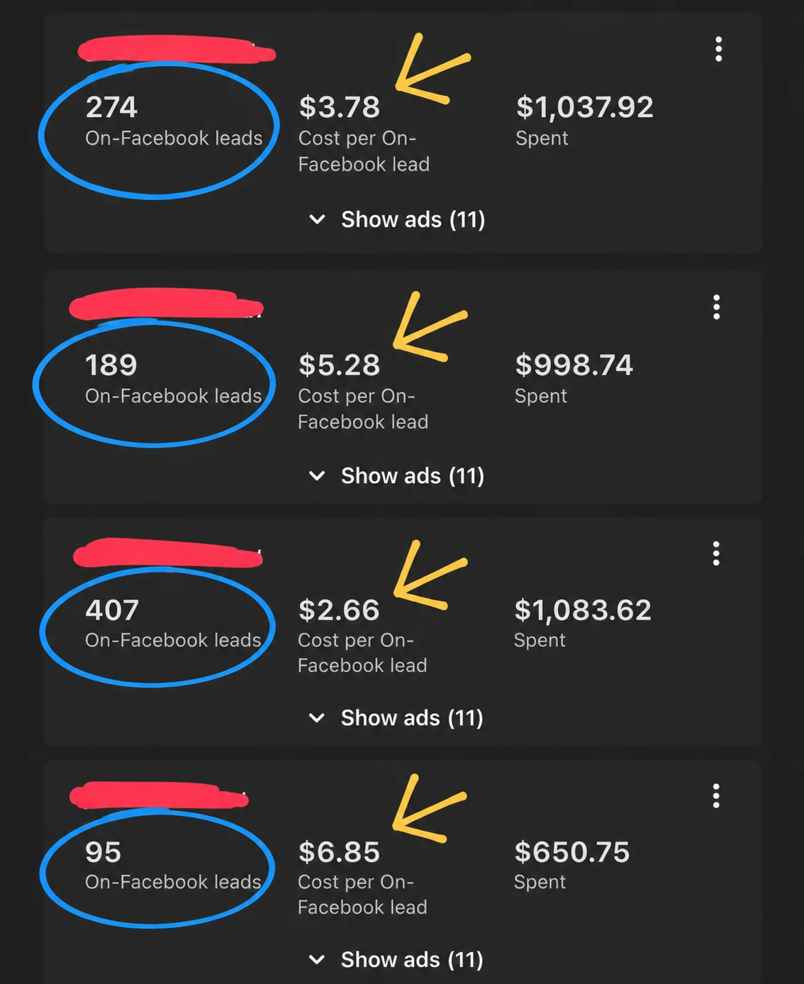 Meta Ads — 4 campaigns. CPL $2.66–$6.85.