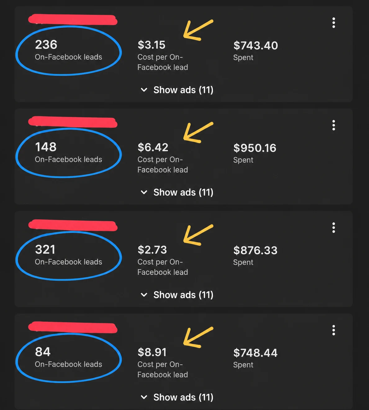 Meta Ads — 4 campaigns. CPL $2.73–$8.91.